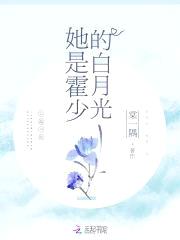 总裁大人,偏要宠!