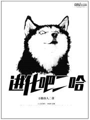 进化吧二哈