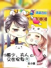 慕少,夫人又在捉鬼