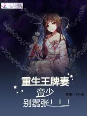 重生王牌妻：帝少，别嚣张！