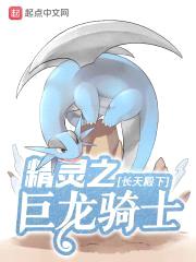 精灵之巨龙骑士