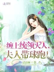 缠上统领大人,夫人带球跑!