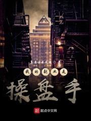 我的副业是cao盘手