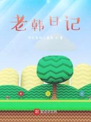 老韩日记