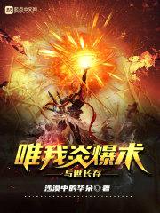 唯我炎爆术与世长存