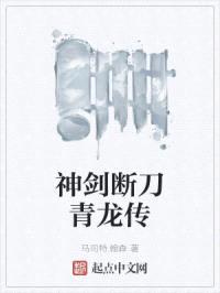 神剑断刀青龙传