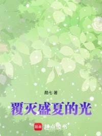 覆灭盛夏的光