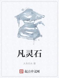 凡灵石