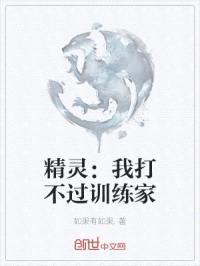 精灵：我打不过训练家