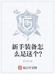 新手装备怎么是这个？