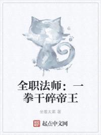 全职法师:一拳干碎帝王