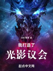 我打造了光影议会