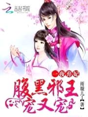 一夜弃妃:腹黑邪王宠又宠
